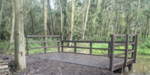 Dipping Platform