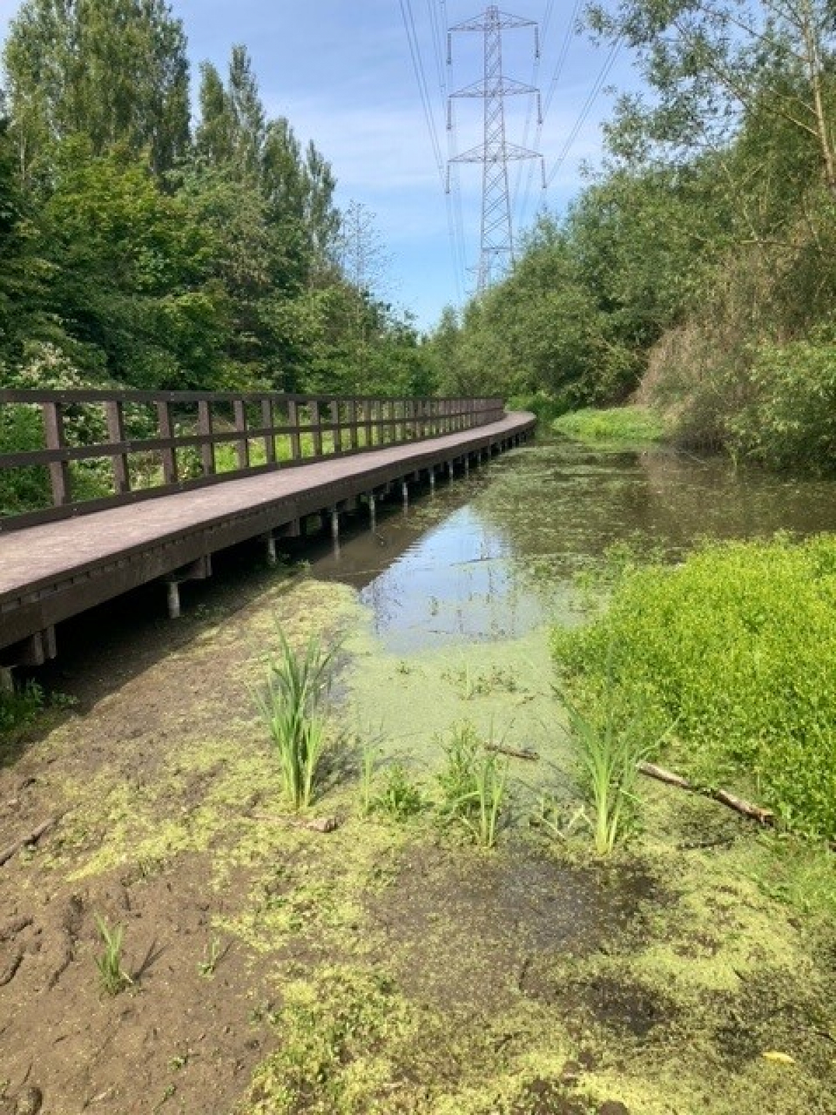 Recycled Plastic Boardwalk Amongst Flooded River Banks