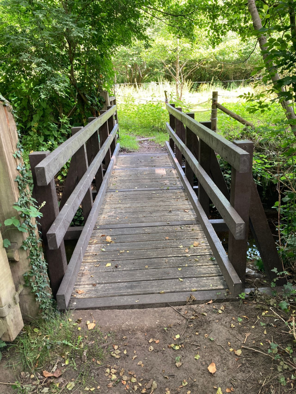 Pedestrian Bridge Surrey County Council