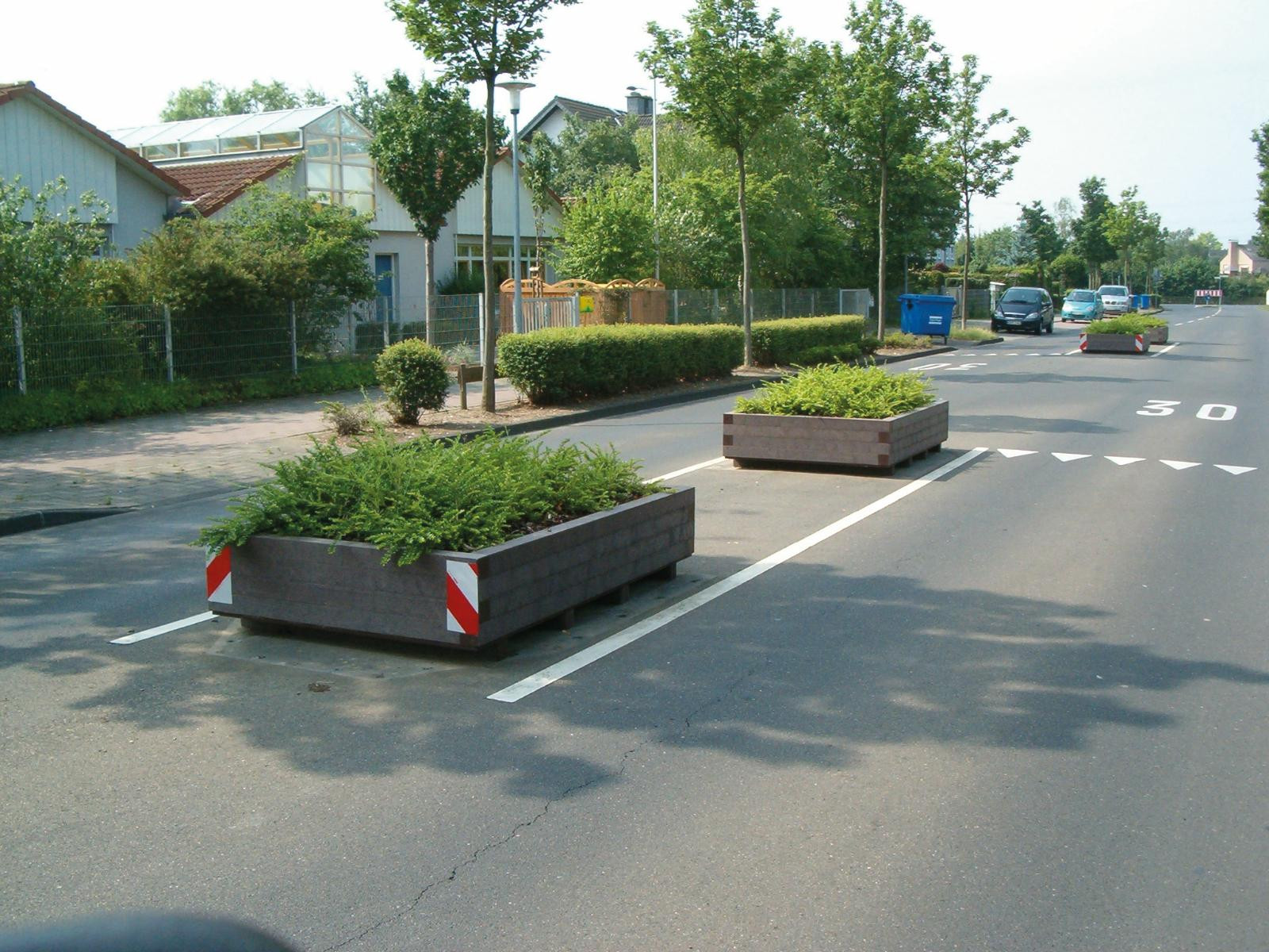 Iberis planter