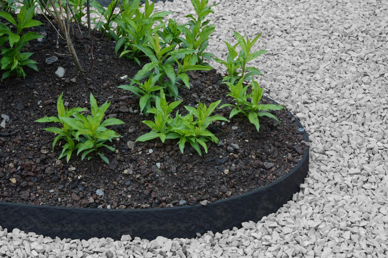 Flexible garden edging