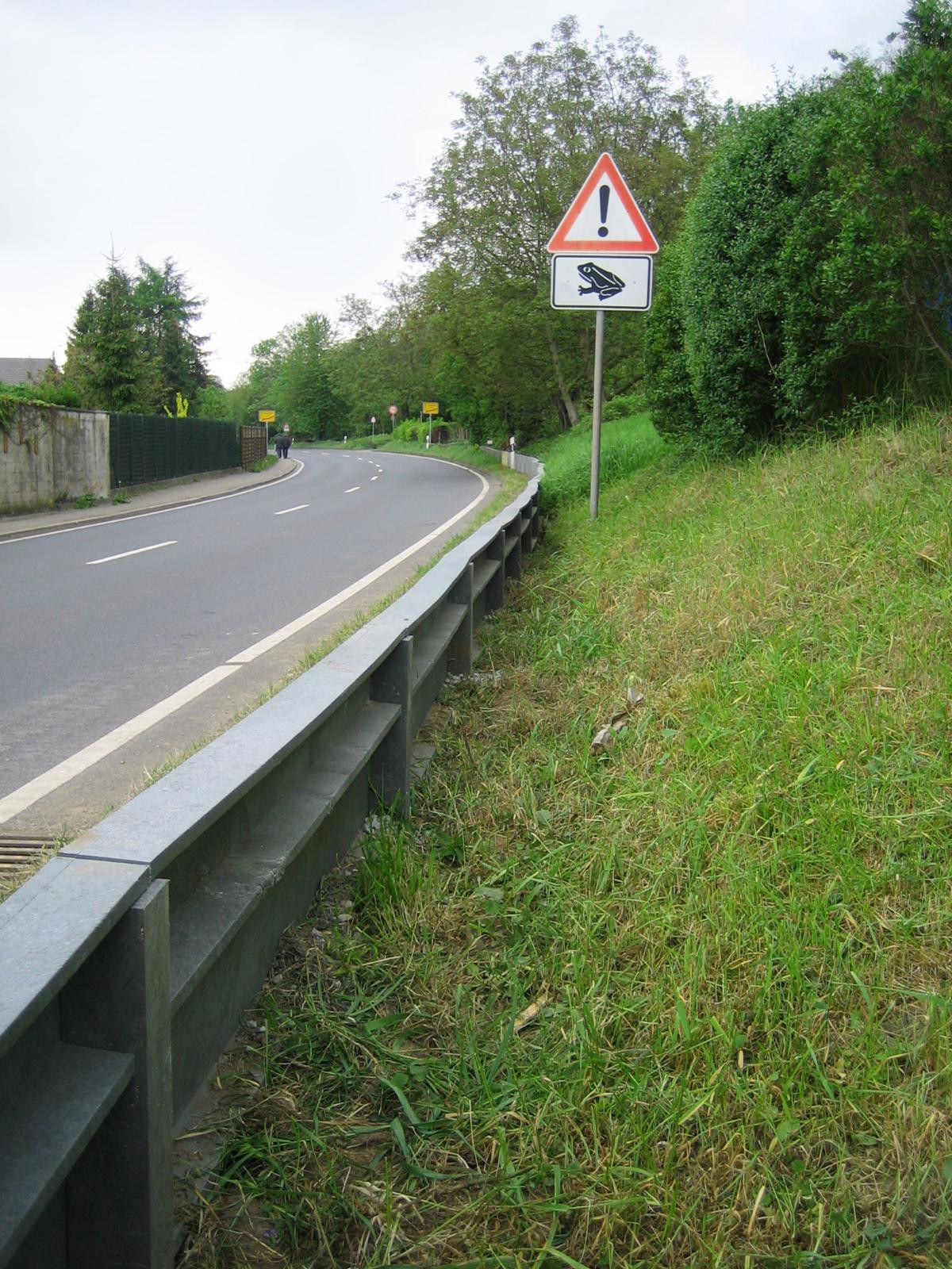 Permanent Reptile fencing