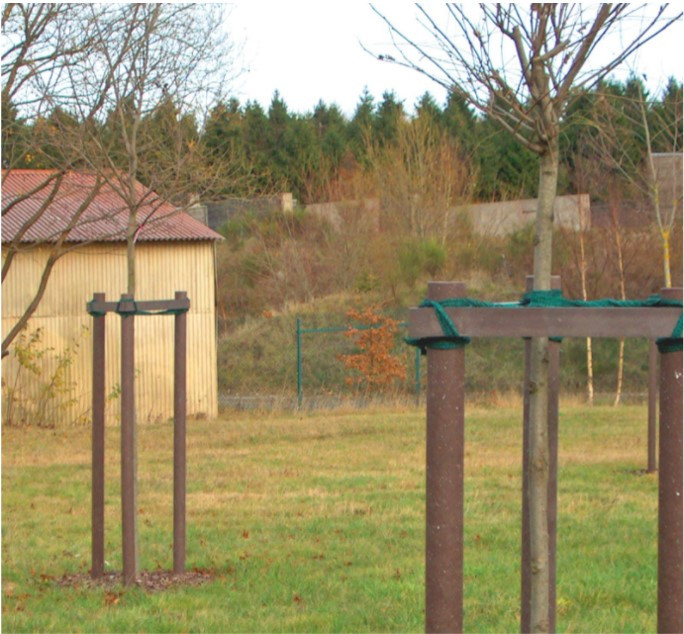 Tree stake crossbar