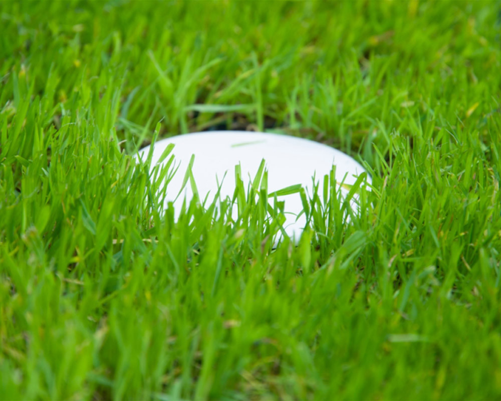 Elite Grass Grid Stick and Circle Bay Markers