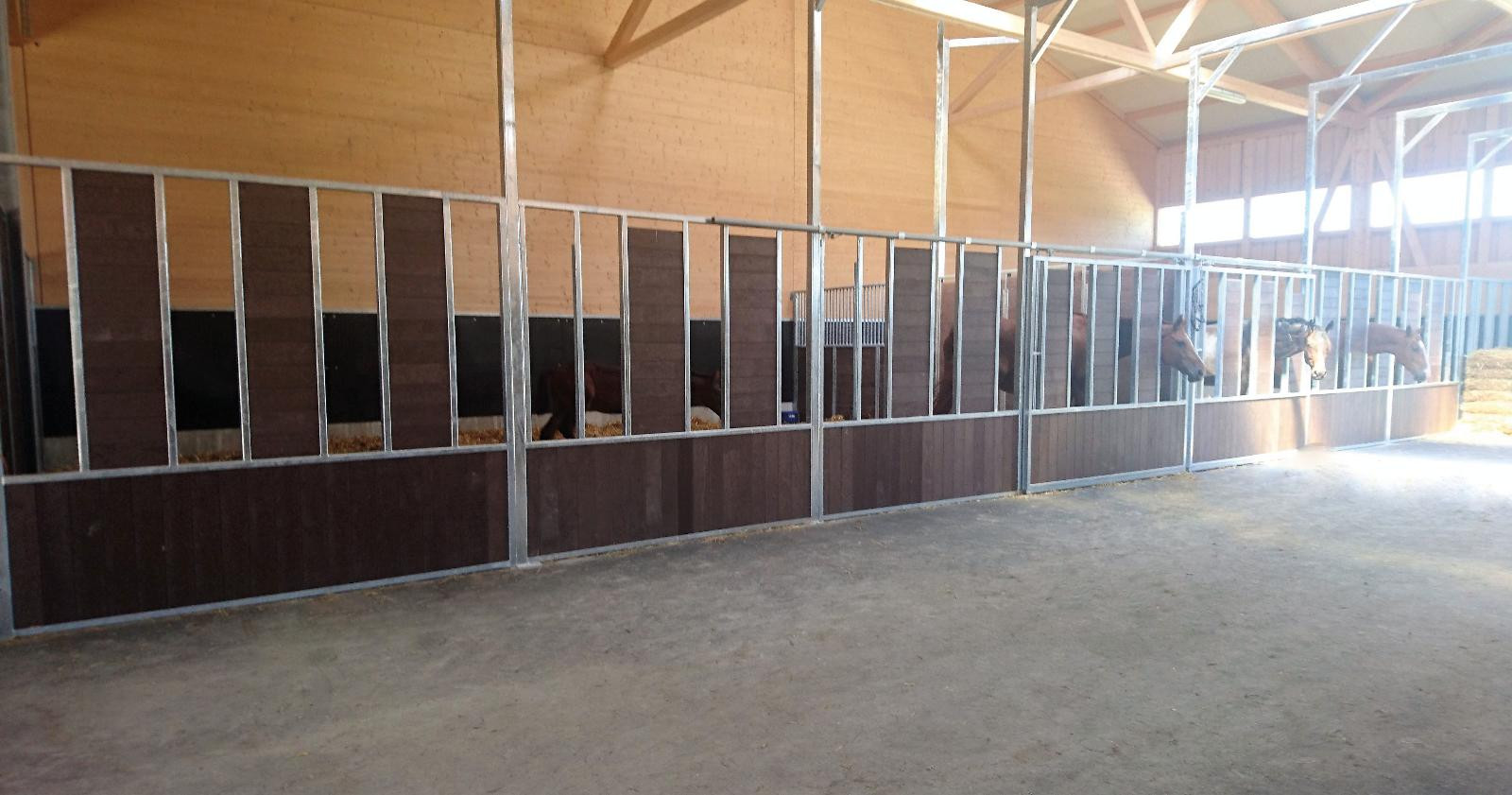 Board profile with tongue and groove for equestrian