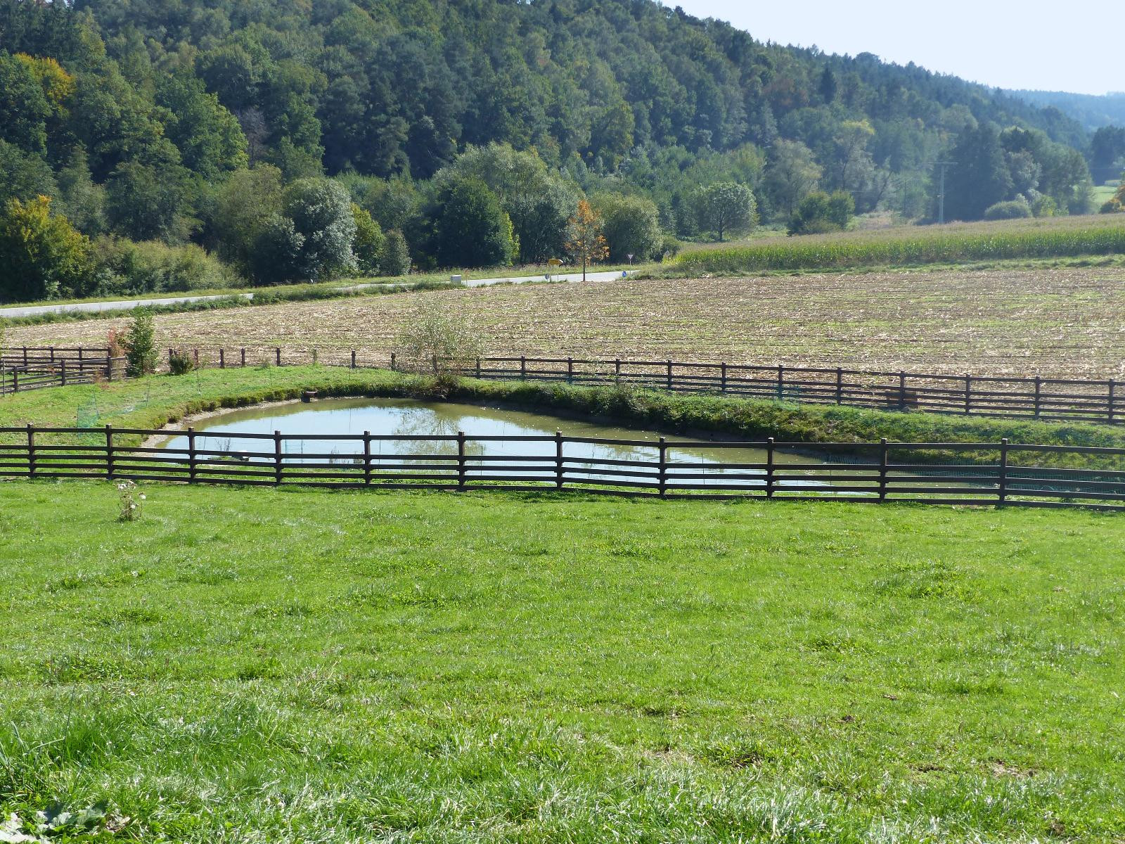 Pasture fence