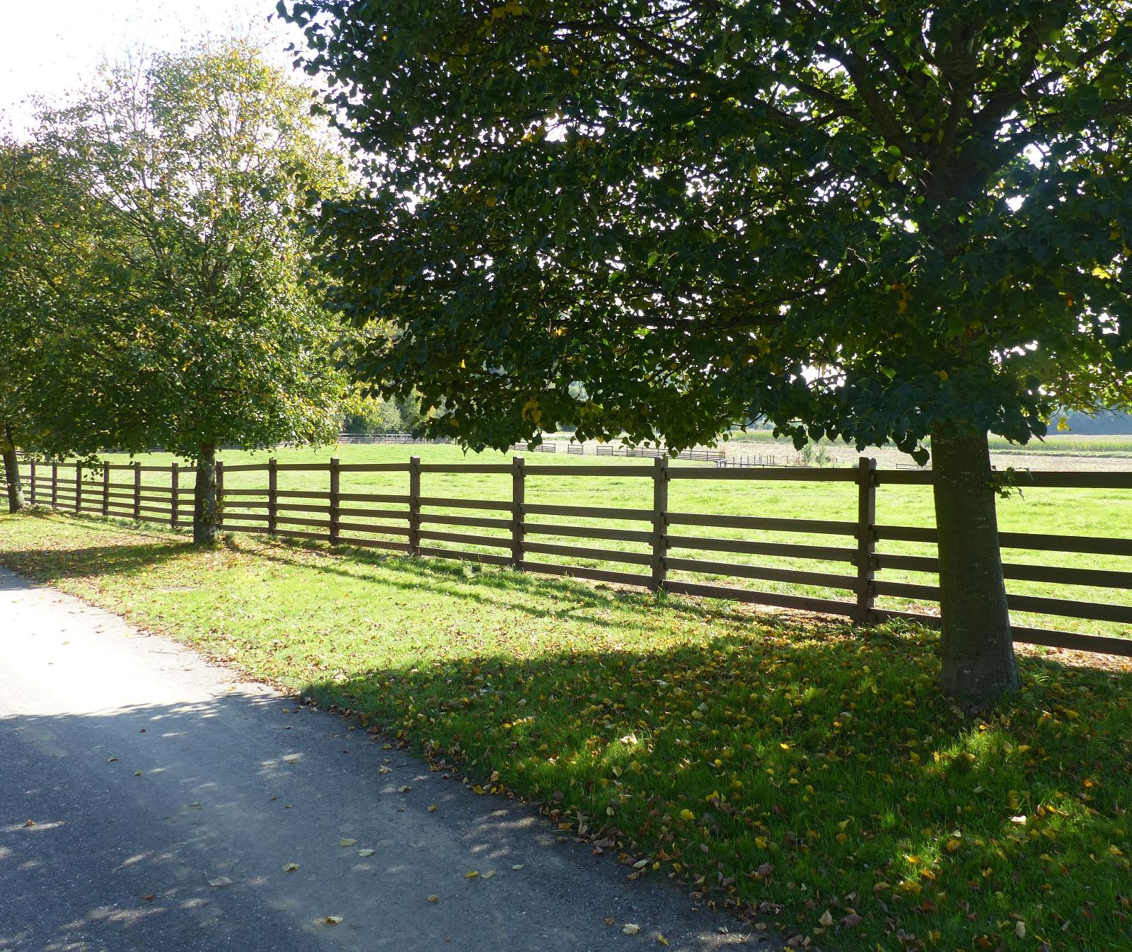 Pasture fence