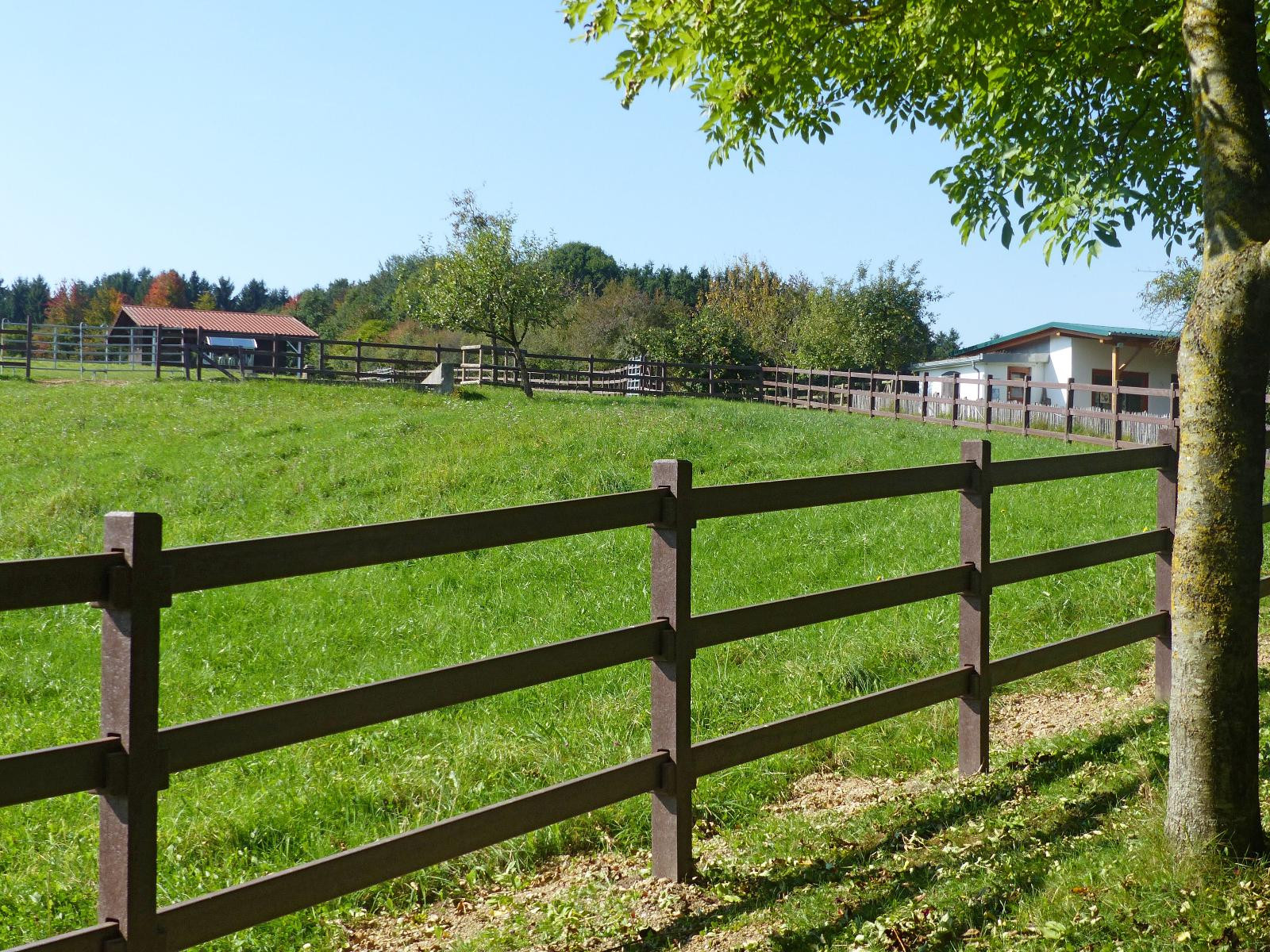 Pasture fence