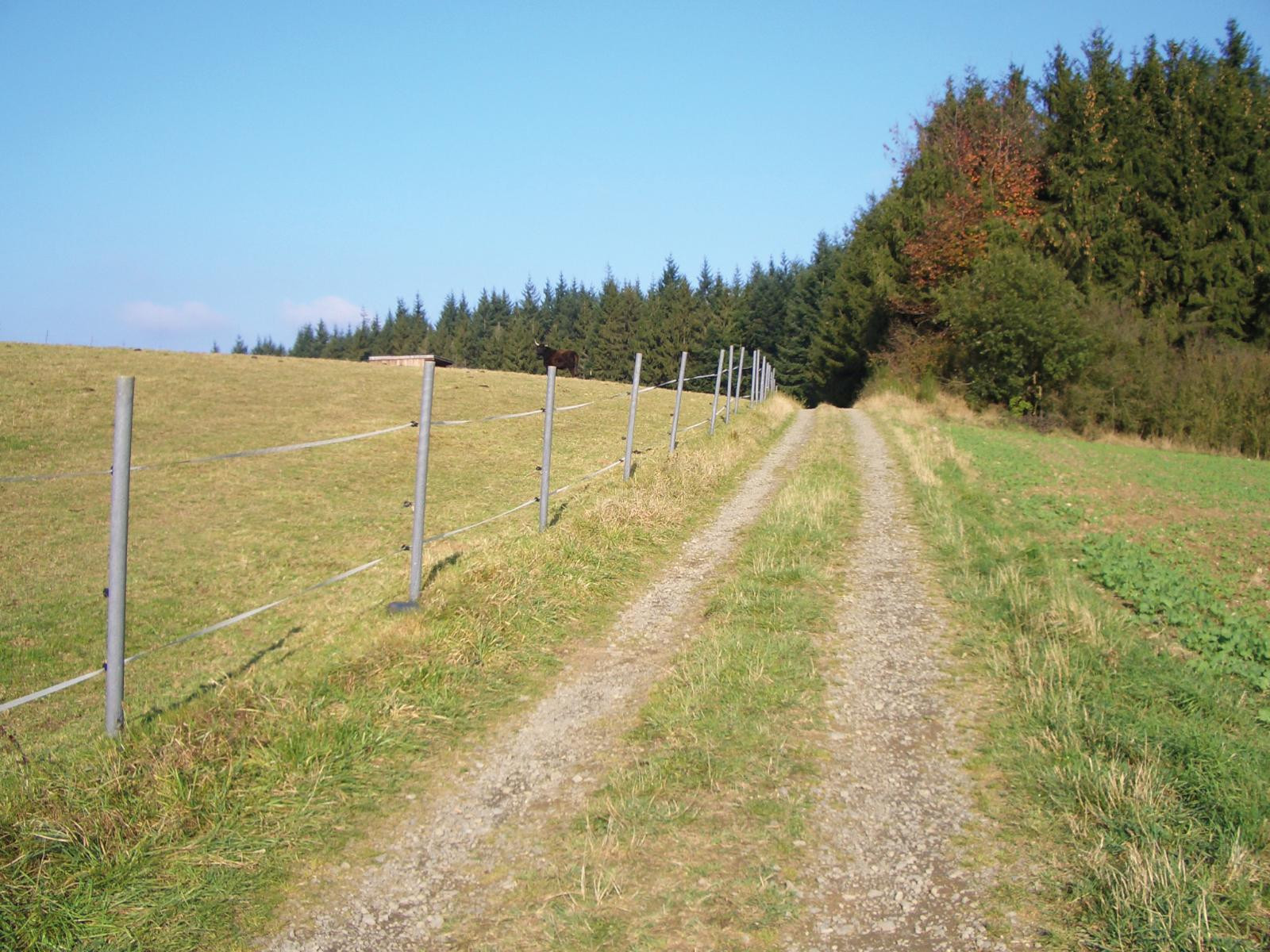 Round post without reinforcement