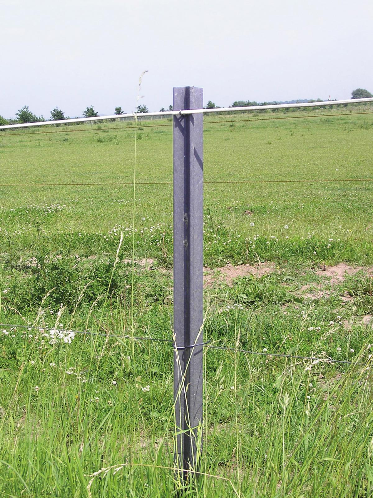 Cross-profile stake