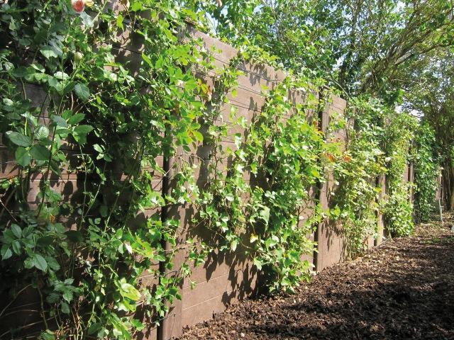 Screen / Privacy fence