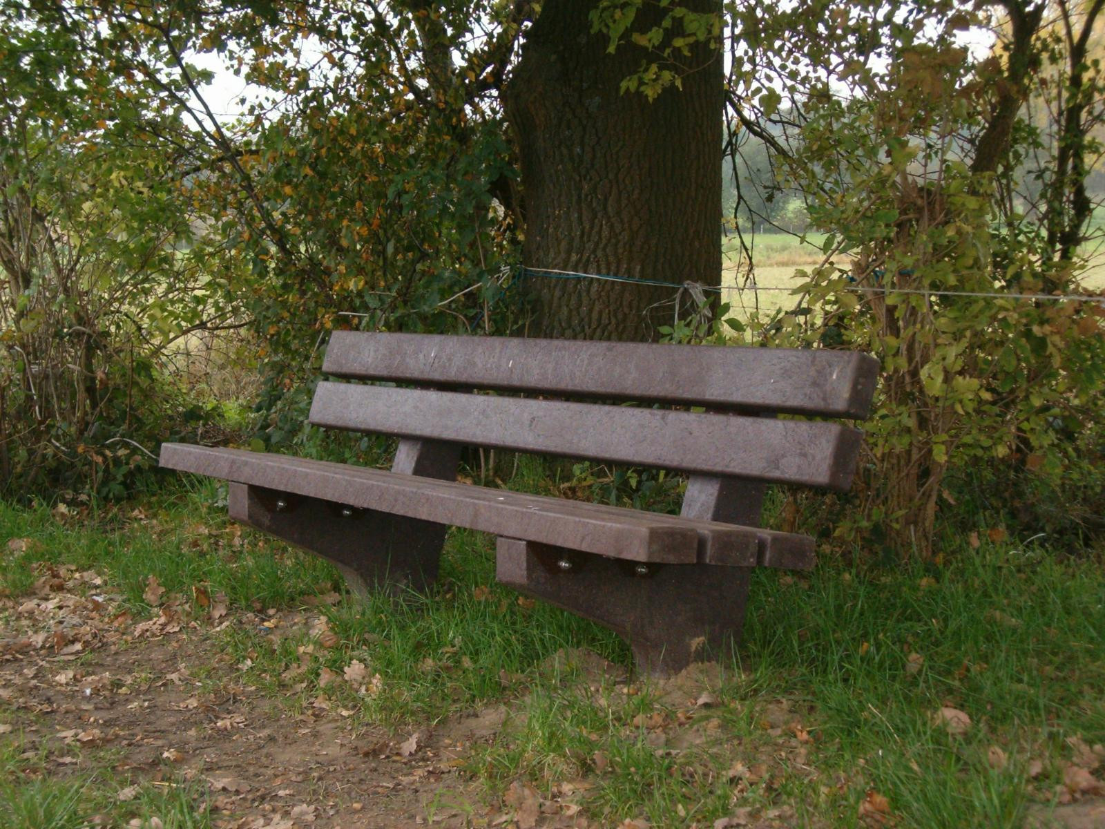 Somerset bench