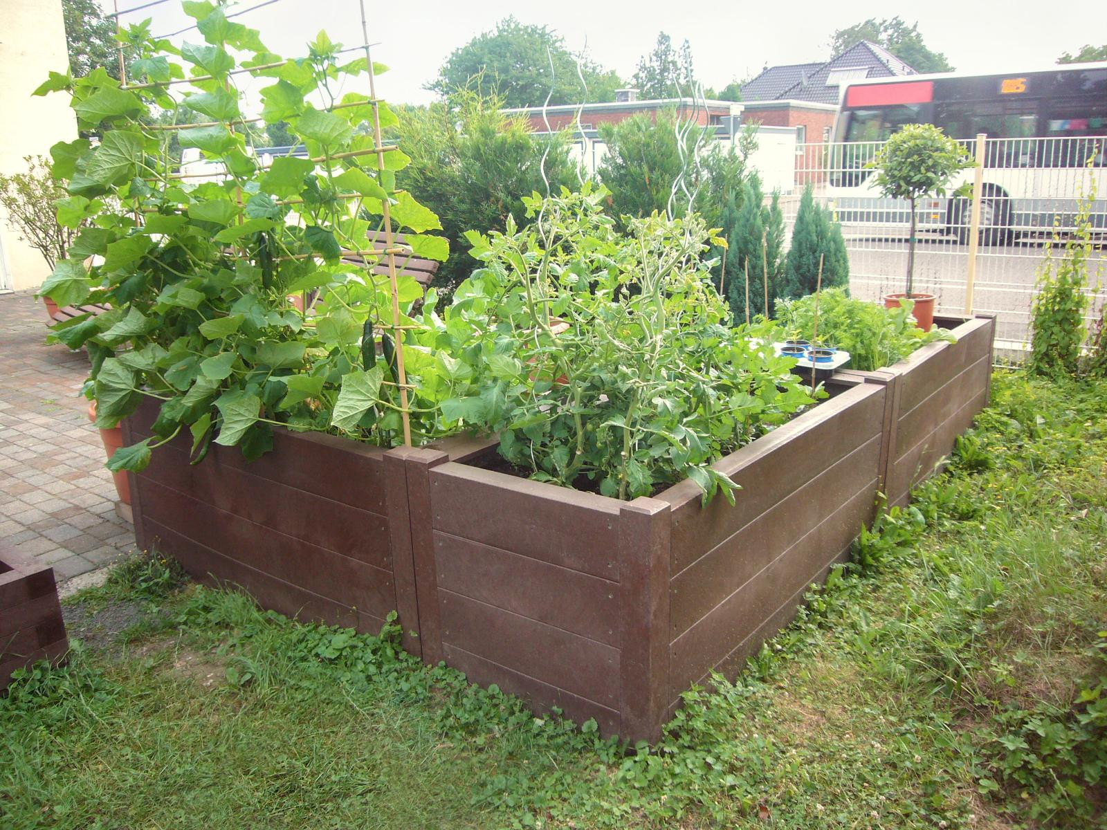 Terra raised bed